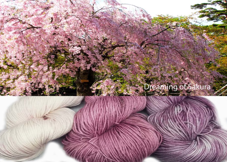 Dreaming of Sakura image 0