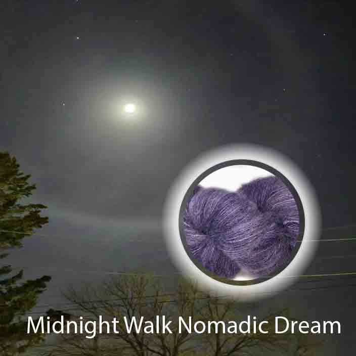 Midnight Walk Nomadic Dream image 3