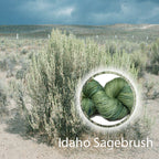 Idaho Sagebrush image 0