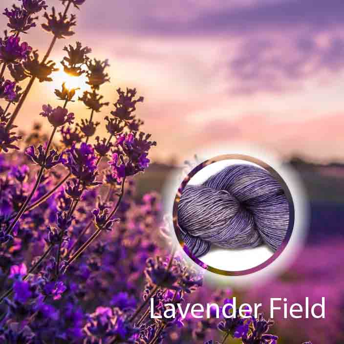 Lavender Field image 1