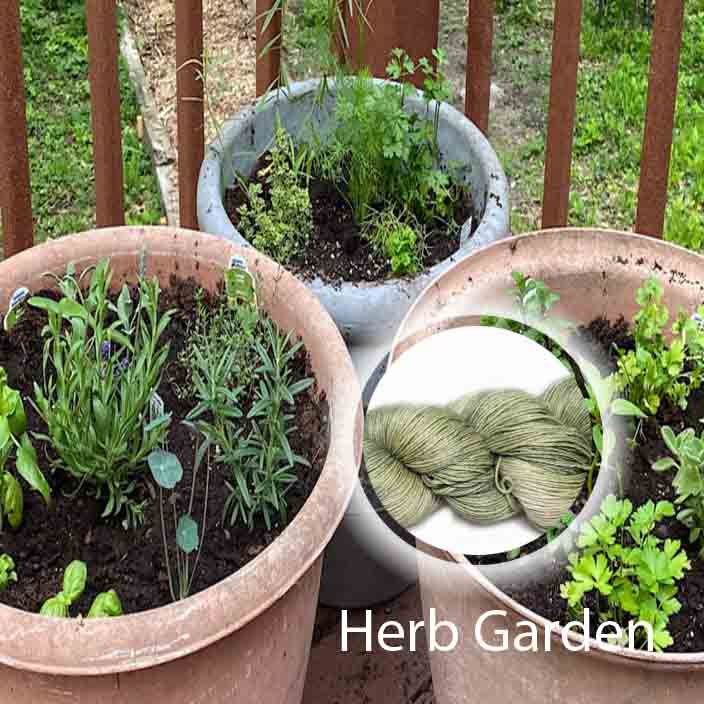 Herb Garden image 0