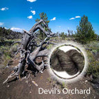 Devil's Orchard image 0