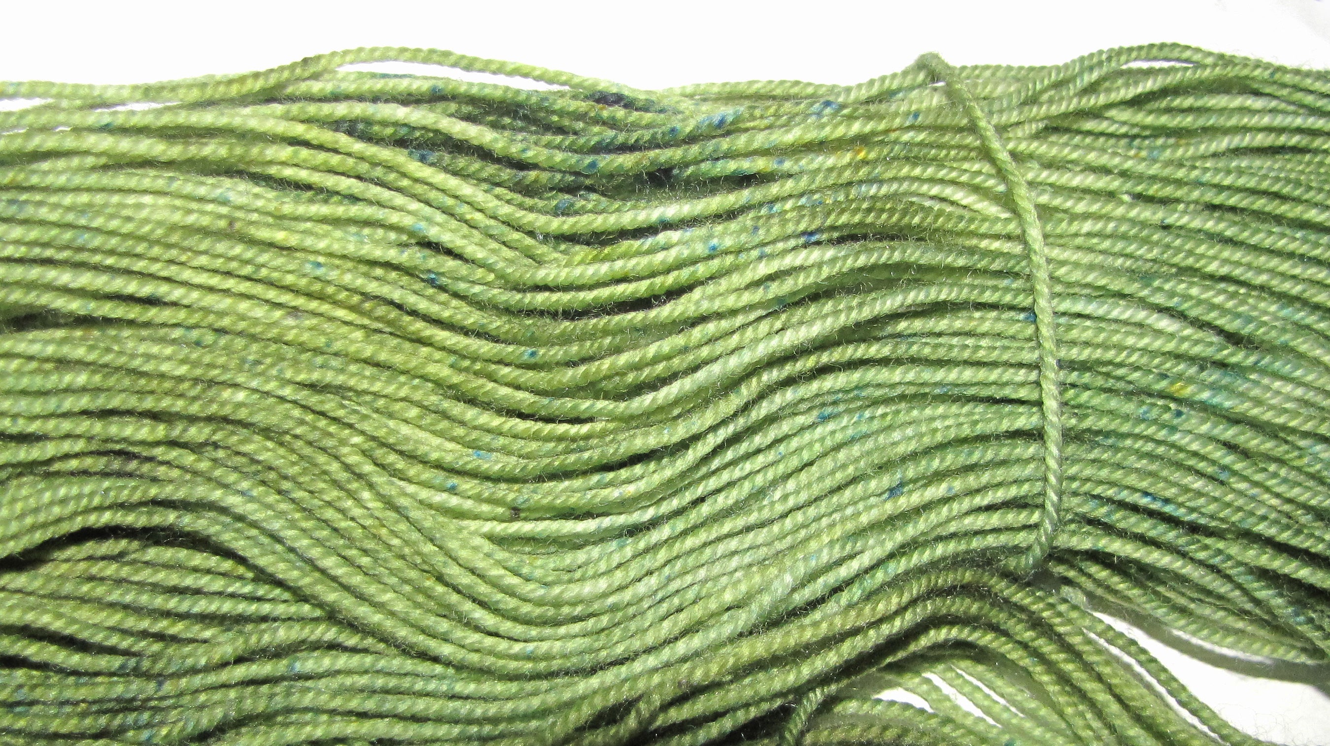 Ceili image 3