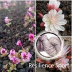 Resilience Sport image 0