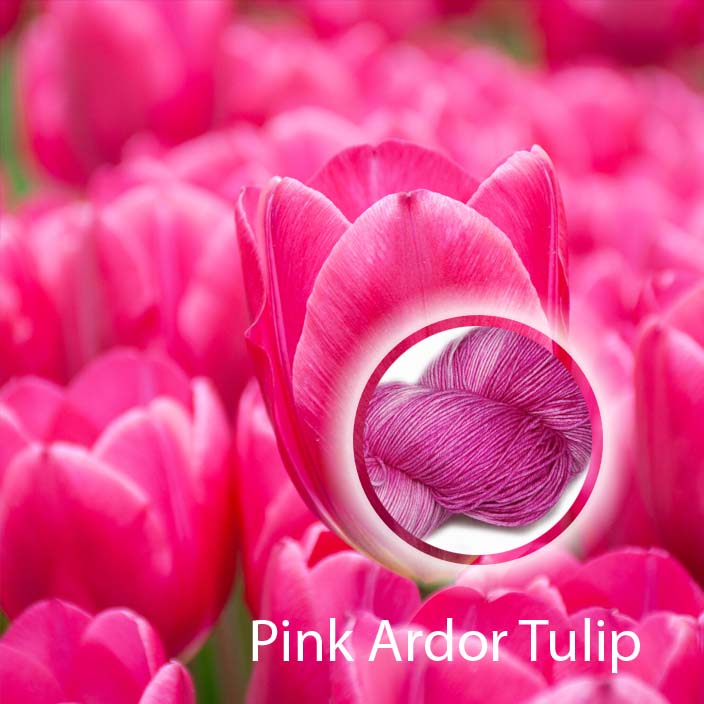 Pink Ardor Tulips image 1