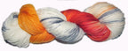 Autumn Splendor image 2