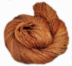 Campfire Coleus image 3