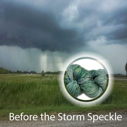 Before the Storm Speckle image 0