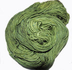 Ceili image 2