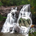Gooseberry Falls image 0