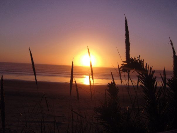 Oregon Coast Twilight image 1