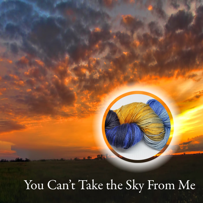 You Can't Take the Sky From Me image 0