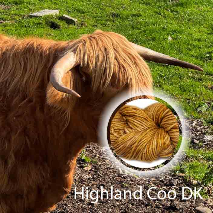 Highland Coo image 4