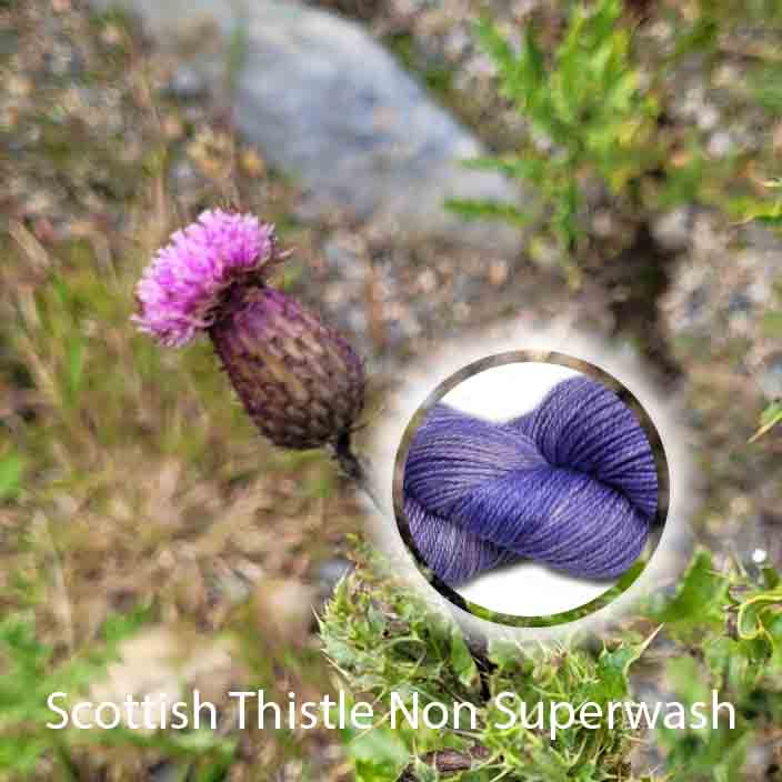 Scottish Thistle Non Superwash image 1