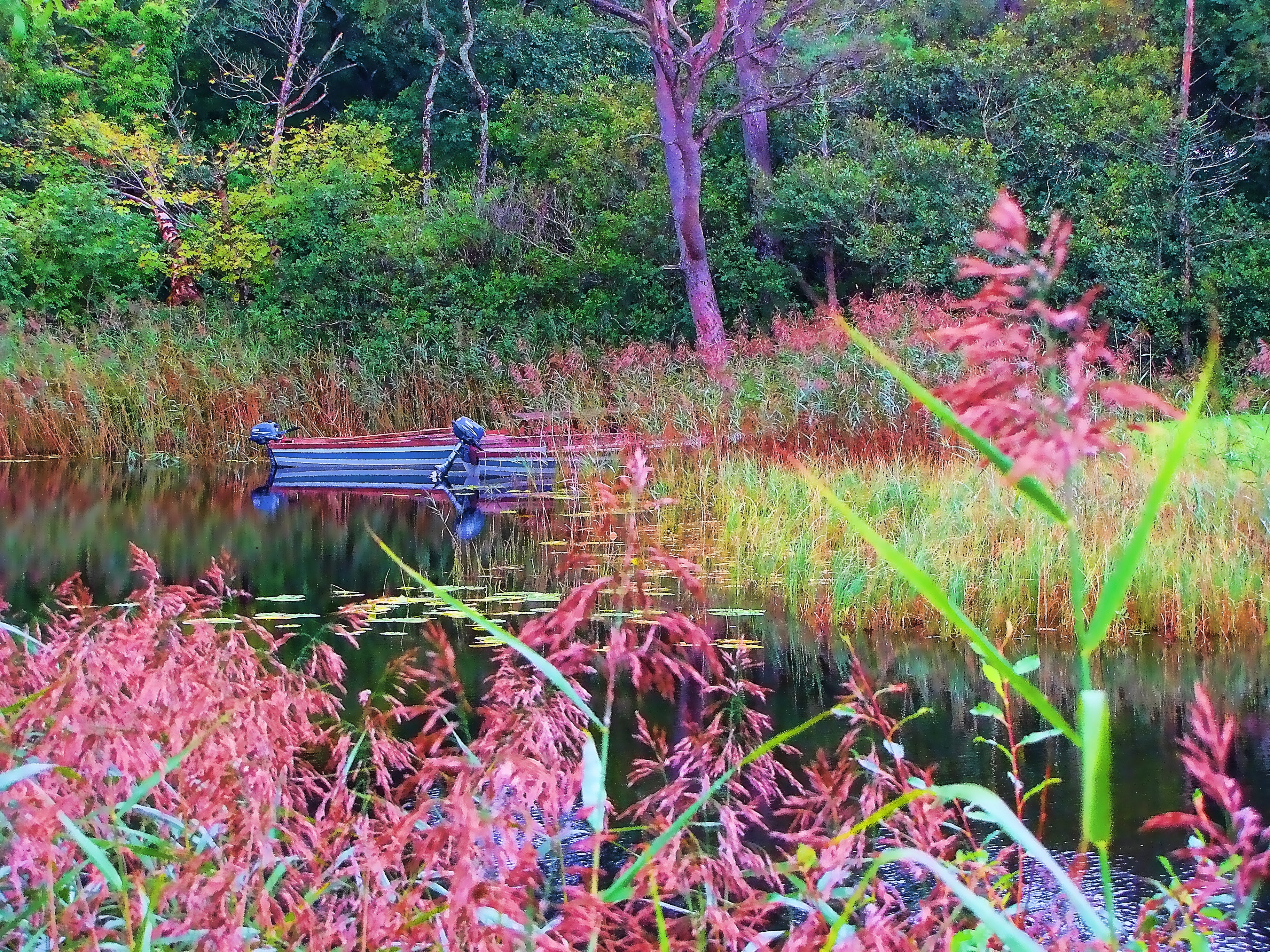 Summer's Last Embrace image 1