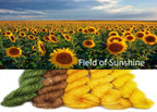 Field of Sunshine image 0