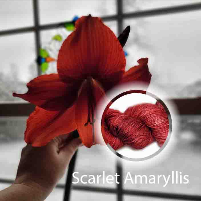 Scarlet Amaryllis image 1