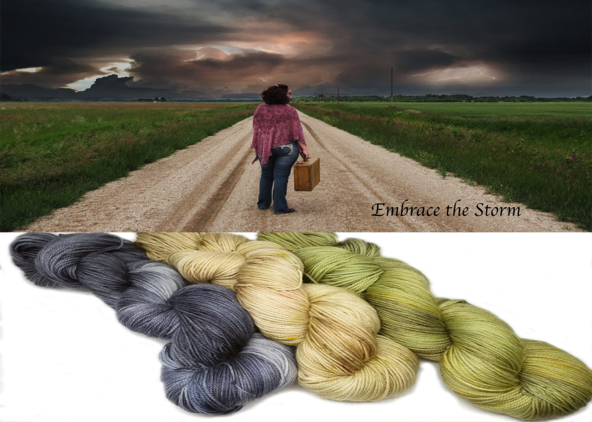 Embrace the Storm image 0