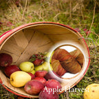 Apple Harvest yarn image 0