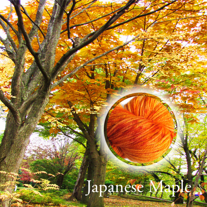 Japanese Maple Yarn image 0