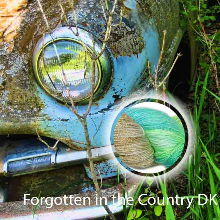 Forgotten in the Country DK image 1