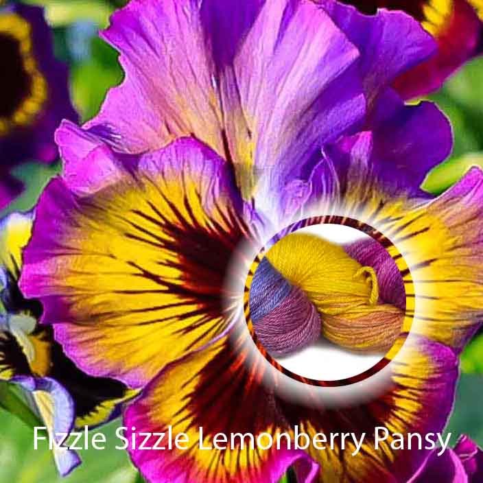 Fizzle Sizzle Lemonberry Pansy