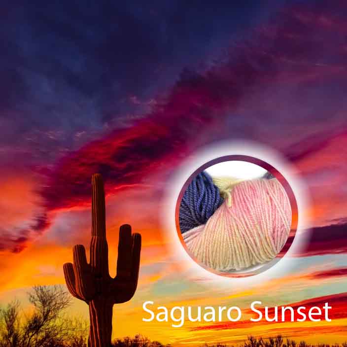 Saguaro Sunset