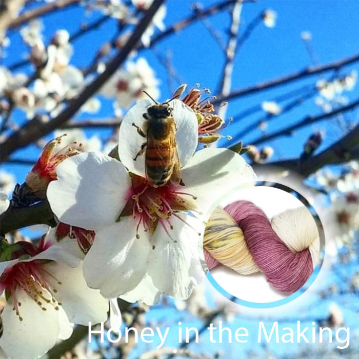 Honey in the Making image 0