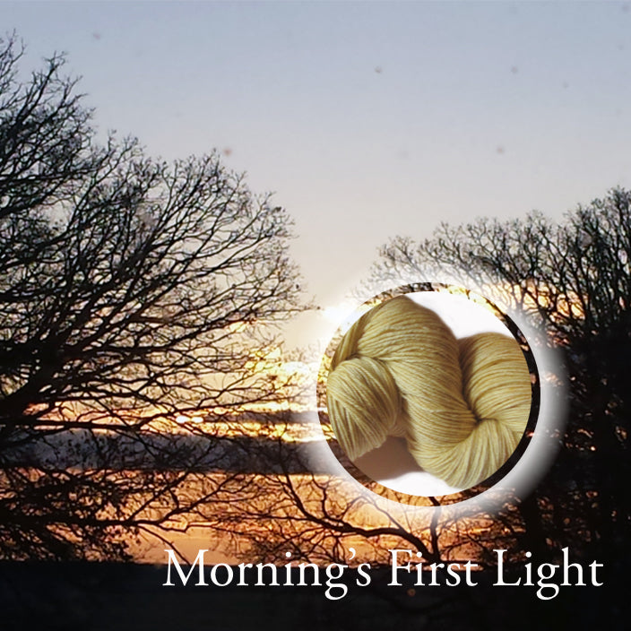 Morning's First Light image 0