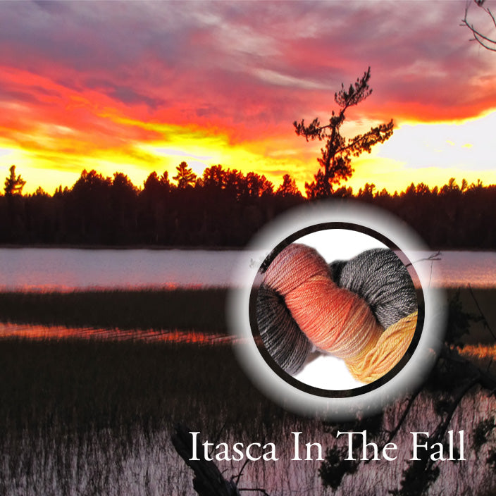 Itasca In The Fall image 0