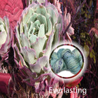 Everlasting image 1