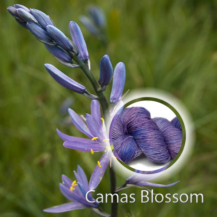 Camas Blossom image 0
