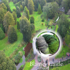 Blarney Castle Yarn image 0