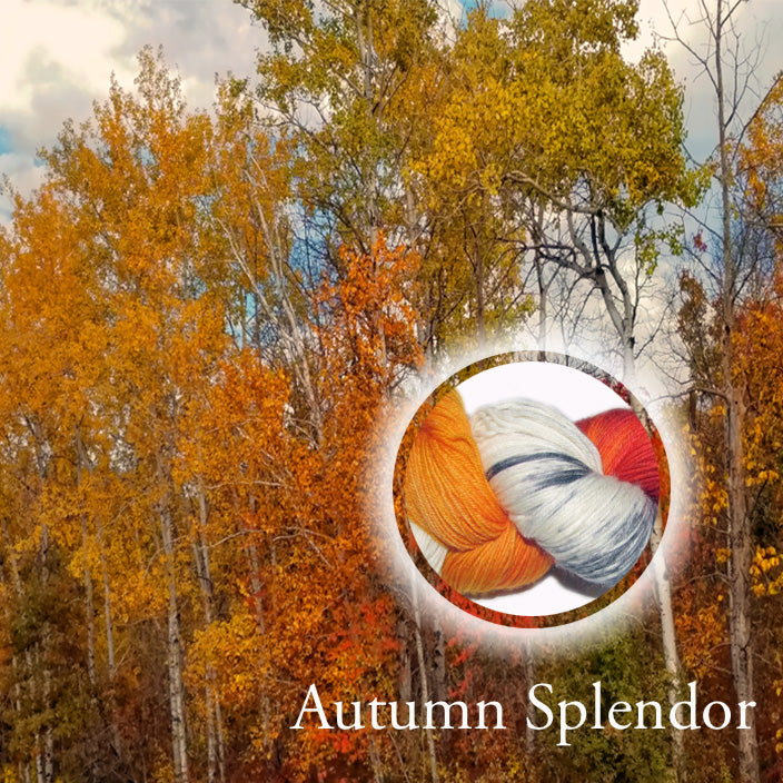 Autumn Splendor image 0