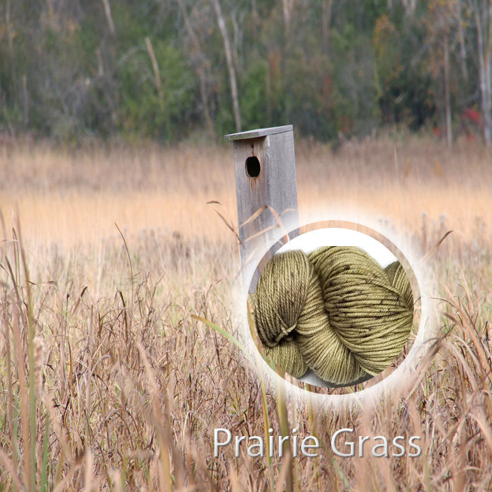 Prairie Grass image 1