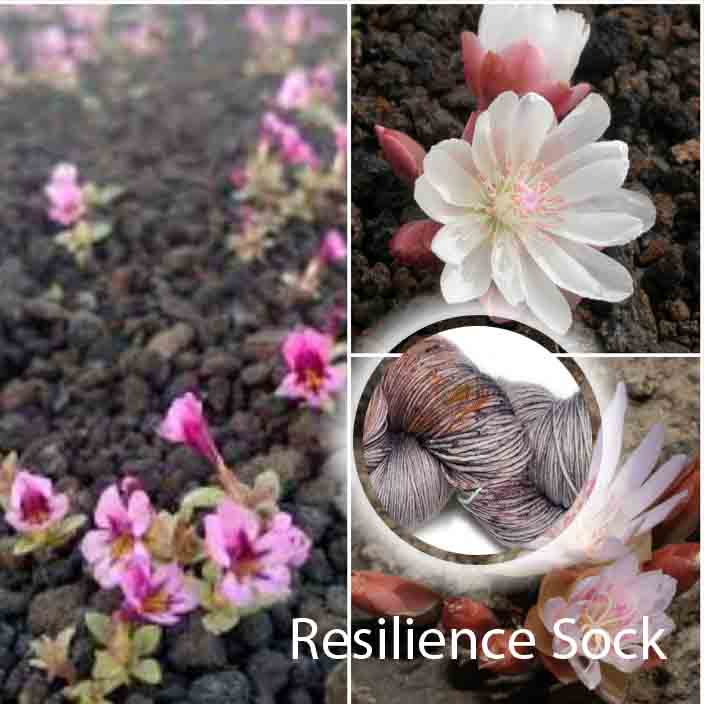 Resilience Sock image 1