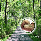 Shinrin-yoku (Forest Bathing) image 0