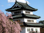 Hirosaki Castle image 2