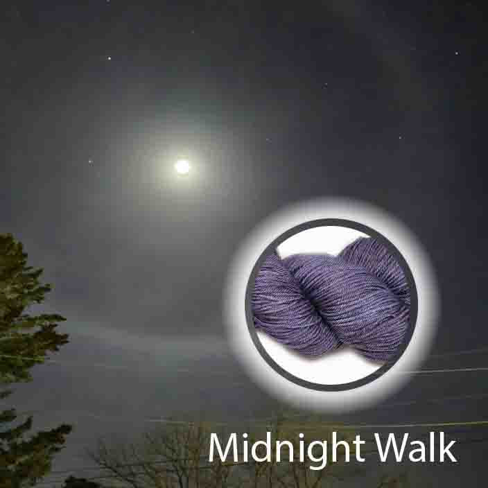 Midnight Walk image 0