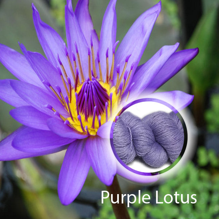 Purple Lotus Yarn image 1