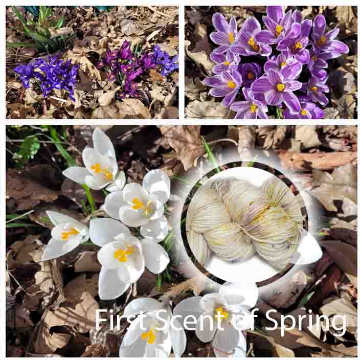 First Scent of Spring image 0