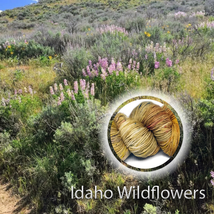 Idaho Wildflowers image 1