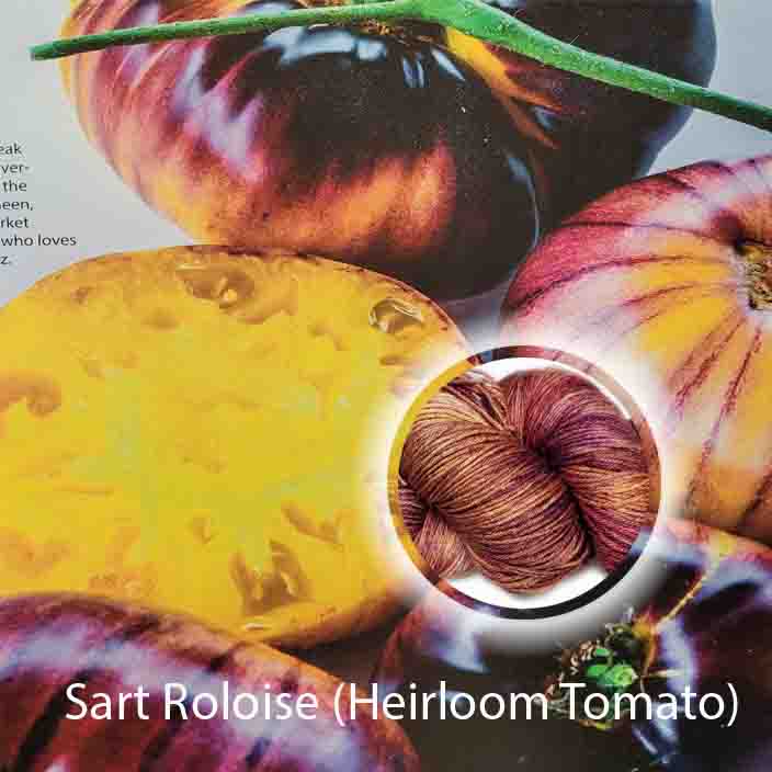 Sart Roloise (Heirloom Tomato) - Álainn Yarns